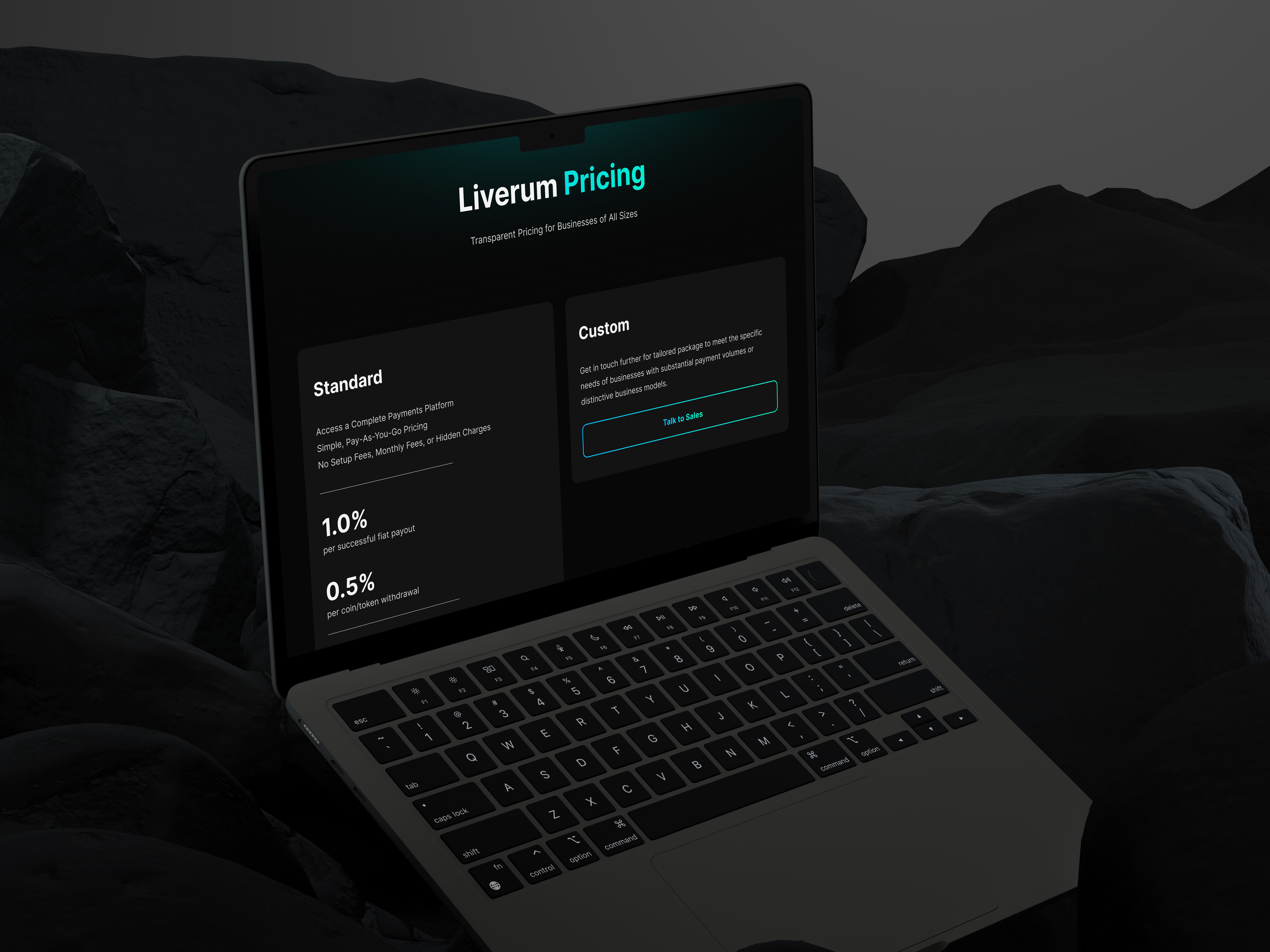 Liverum pricing page with Standard pay-as-you-go rates and a Custom talk-to-sales tier